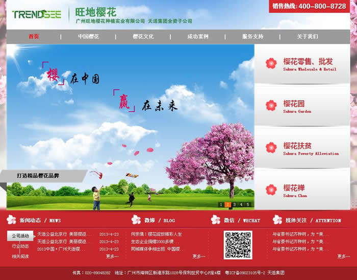 旺地櫻花 旺地櫻花