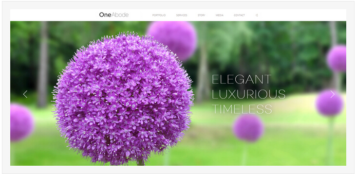 �L���زľWվ�OӋ