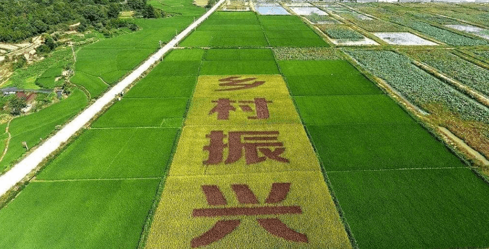 人民日報“鄉(xiāng)村振興計劃”為何看上他?_直播_行業(yè)_農(nóng)產(chǎn)品